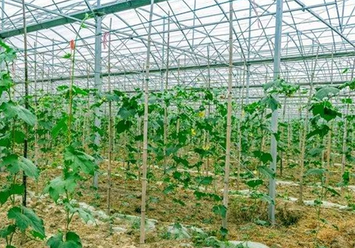 助力实现“双碳”，中国空气能领军品牌3044永利空气能鼓励采用清洁能源供热！