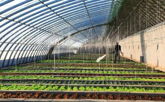 空气源热泵种植